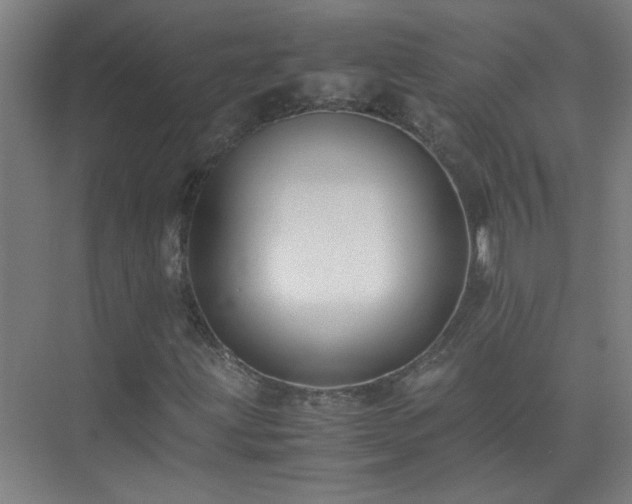 X0000075411203200609151838