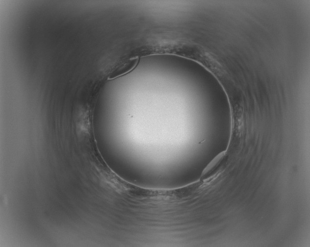 X0000075411204200609151838