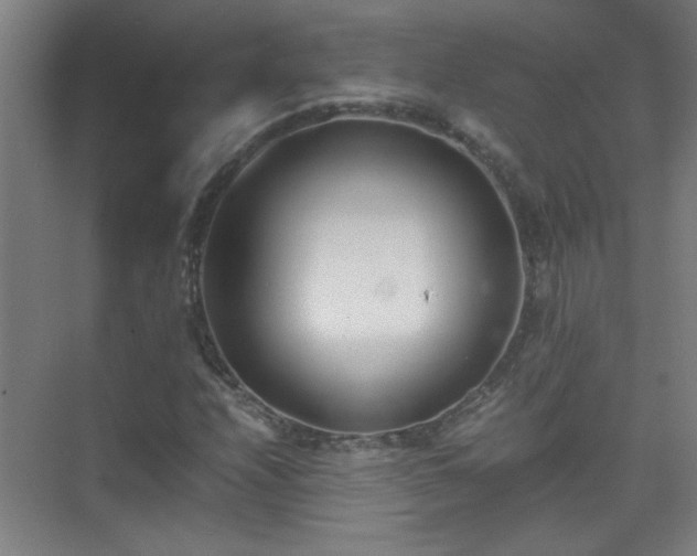 X0000075411208200609151838