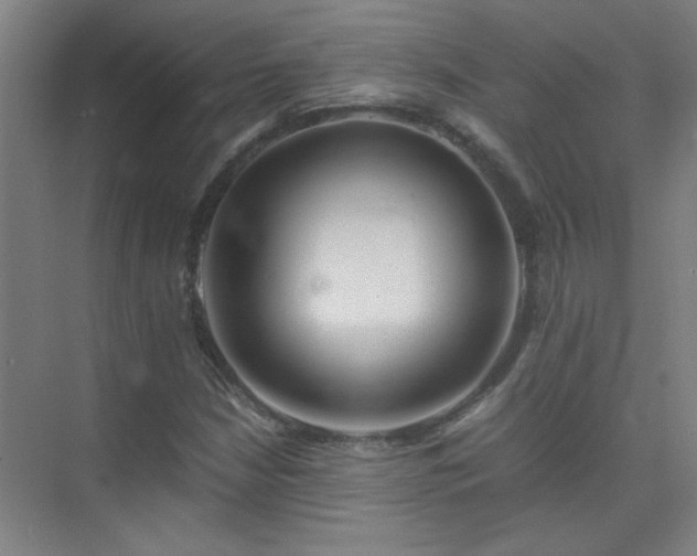 X0000075411210200609151838