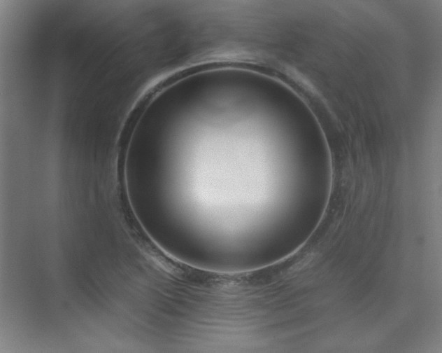 X0000075411222200609151838