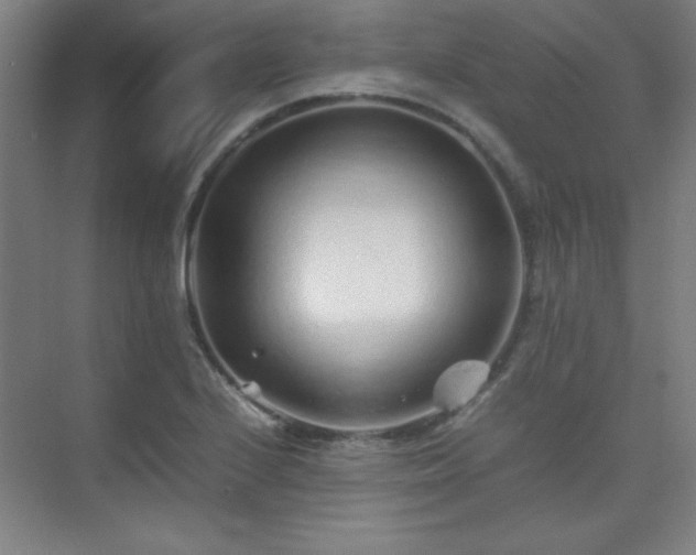 X0000075411224200609151838