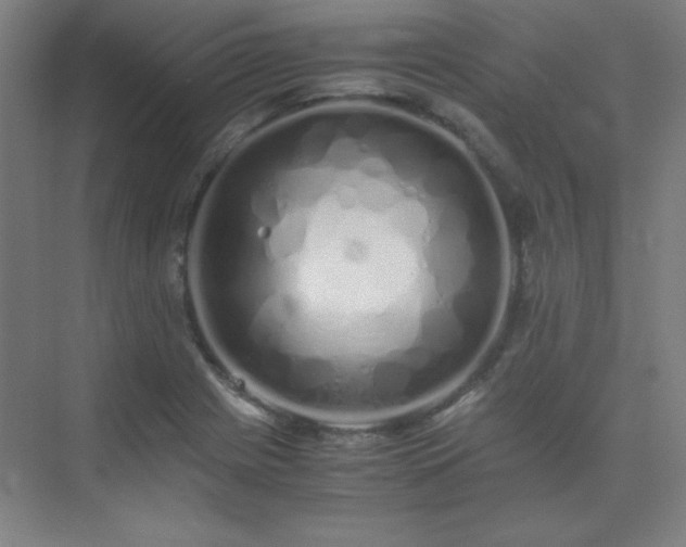 X0000075411225200609151838