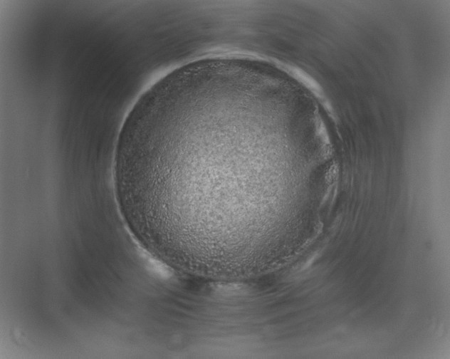 X0000075411231200609151838