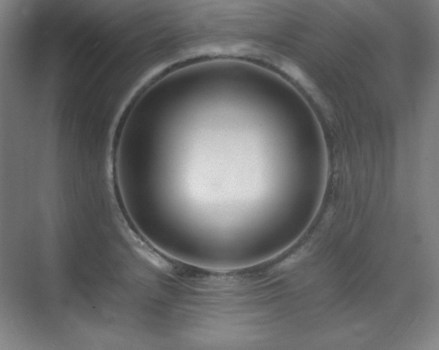 X0000075411232200609151838