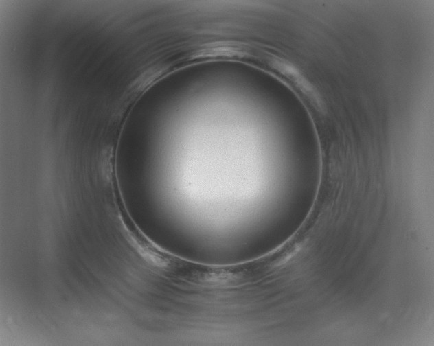 X0000075411233200609151838
