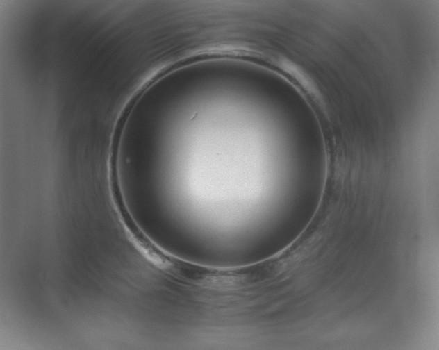 X0000075411237200609151838