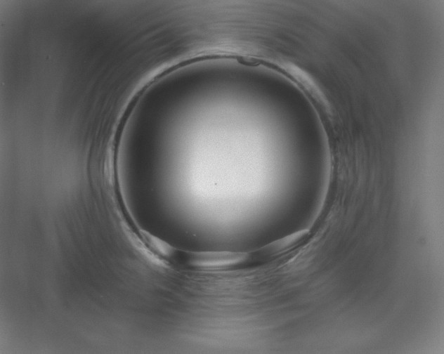 X0000075411238200609151838