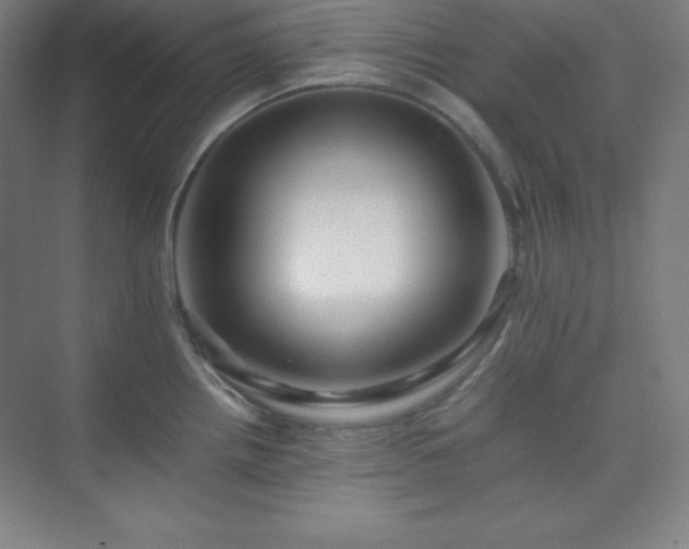 X0000075411242200609151839
