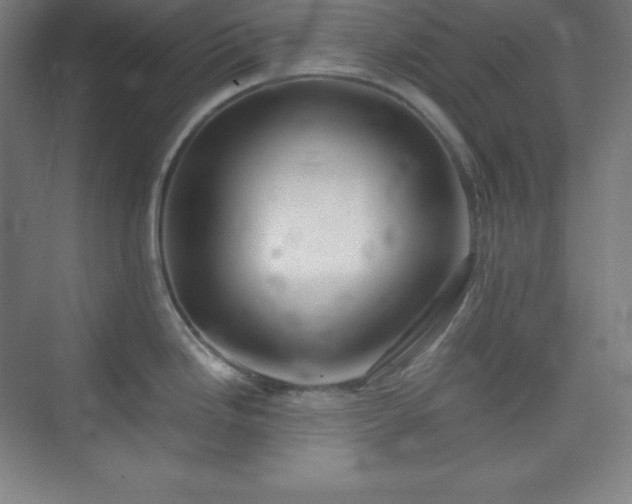 X0000075411246200609151839