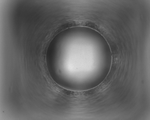 X0000075411249200609151838