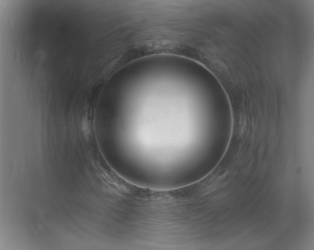 X0000075411250200609151838