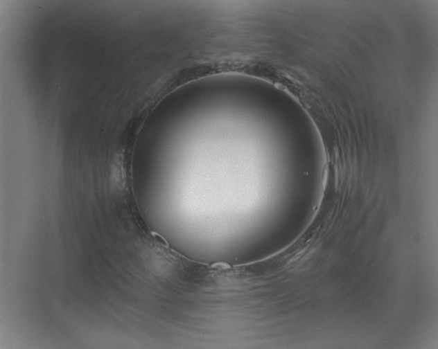 X0000075411252200609151838