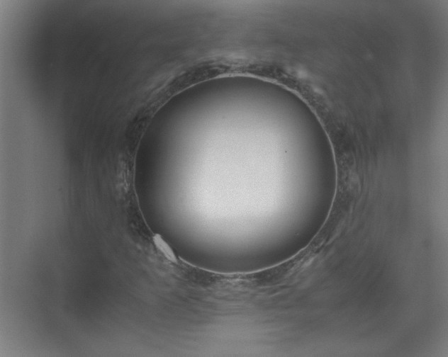 X0000075411253200609151838