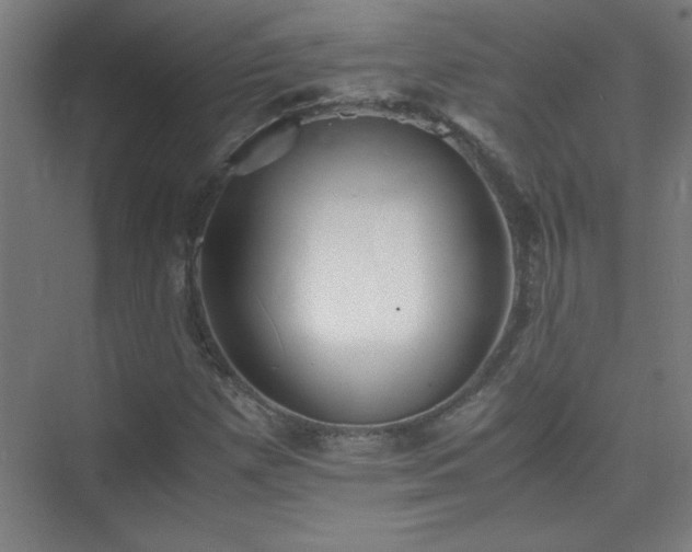 X0000075411257200609151838