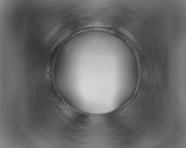 X0000075411258200609151838
