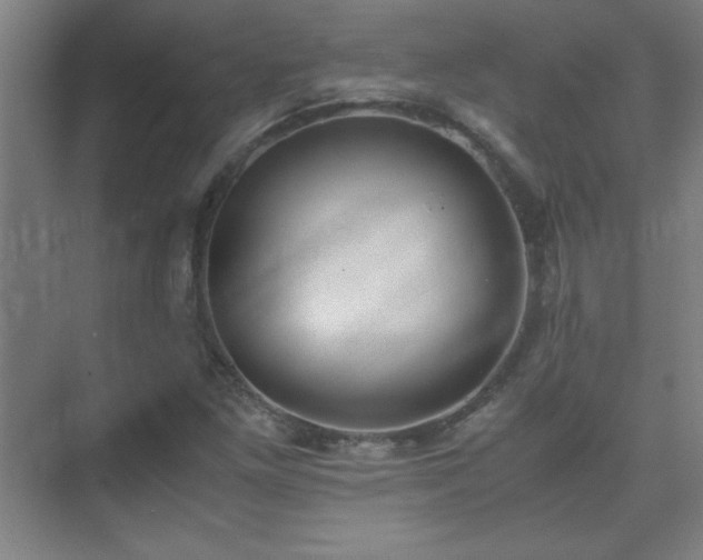 X0000075411261200609151838