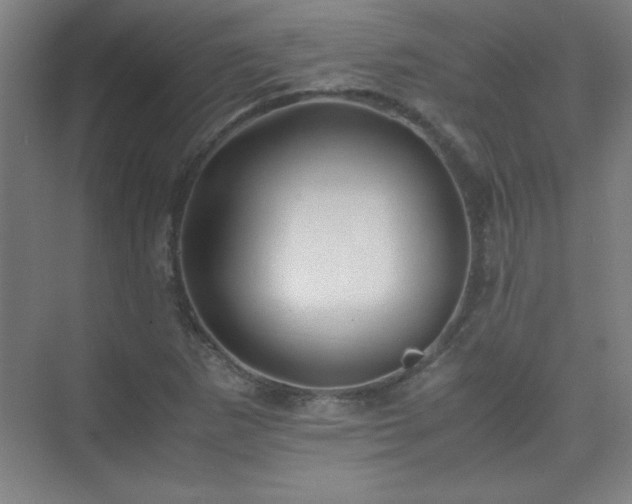 X0000075411265200609151838