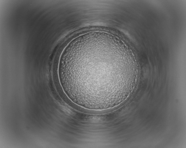 X0000075411266200609151838