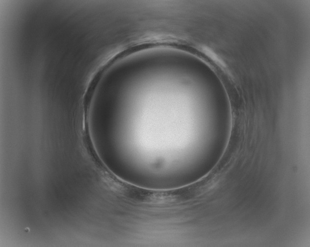 X0000075411269200609151838