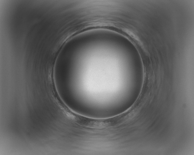 X0000075411273200609151837