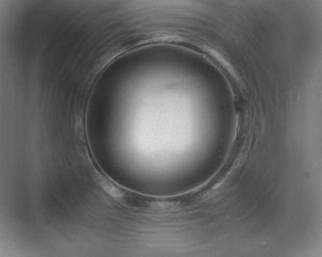 X0000075411281200609151837