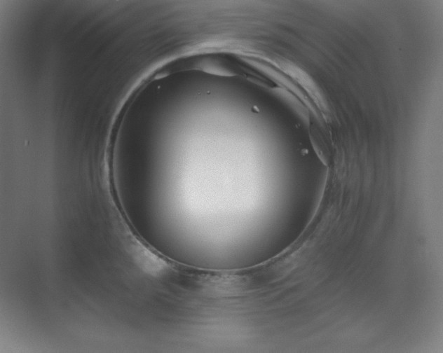X0000075411288200609151837