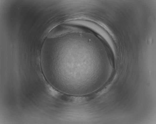 X0000075411289200609151837