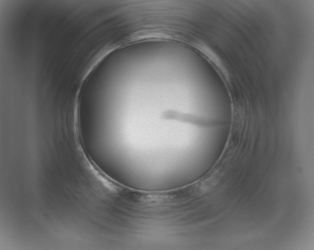 X0000075411290200609151837
