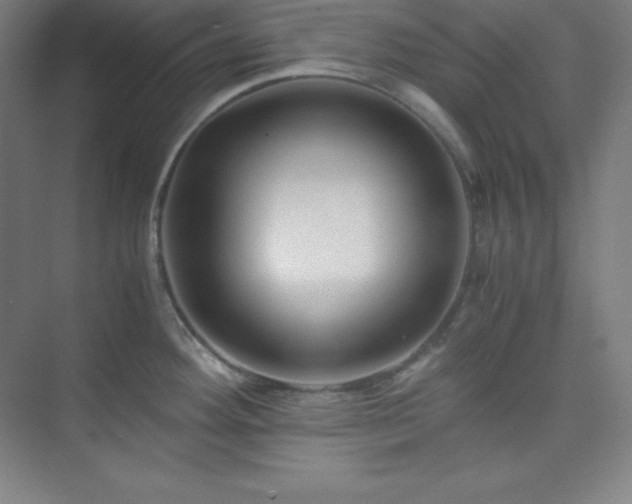 X0000075411292200609151837
