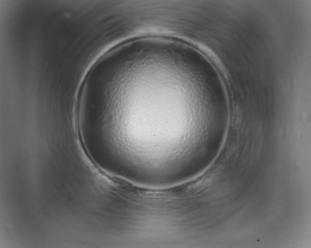 X0000075411295200609151837