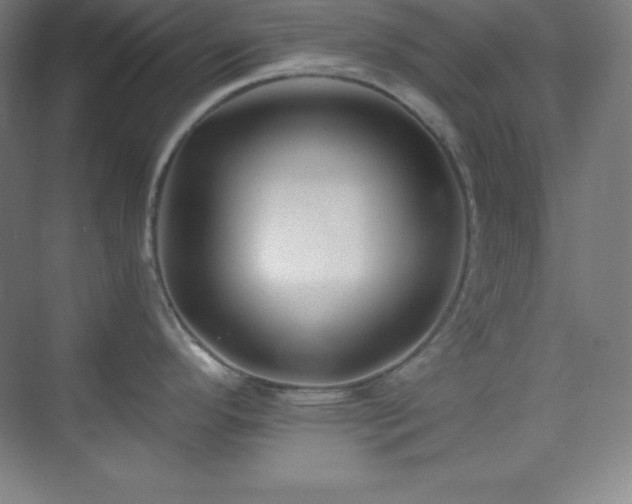 X0000075411296200609151837