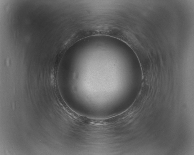 X0000075411298200609151836
