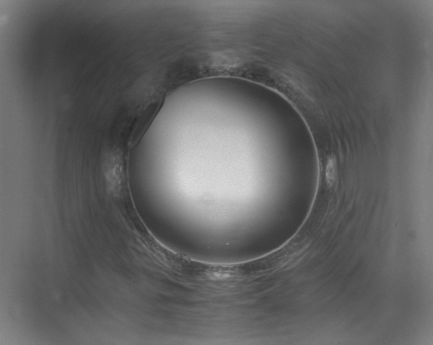 X0000075411299200609151836
