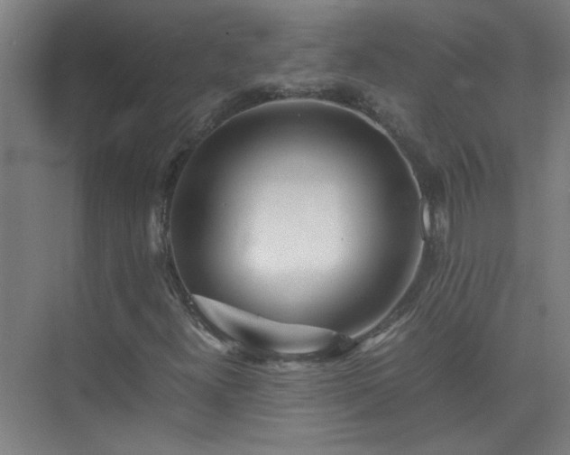X0000075411300200609151836