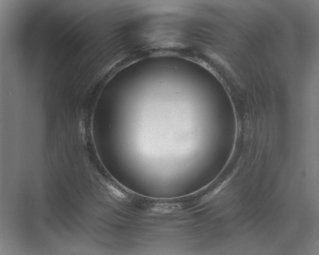 X0000075411305200609151836
