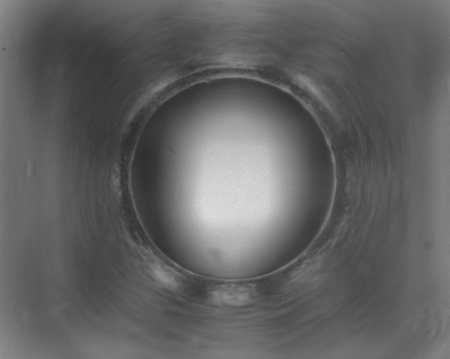 X0000075411307200609151836