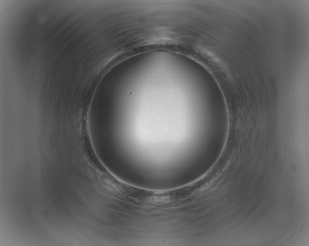 X0000075411313200609151837