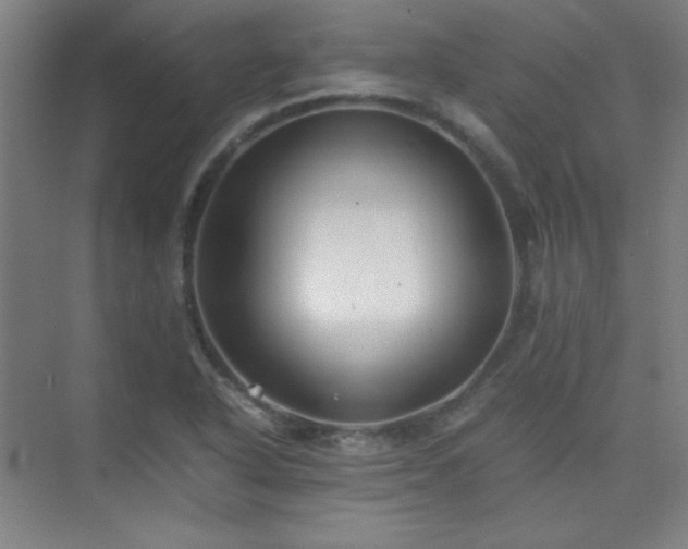 X0000075411318200609151837