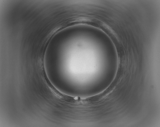 X0000075411321200609151837