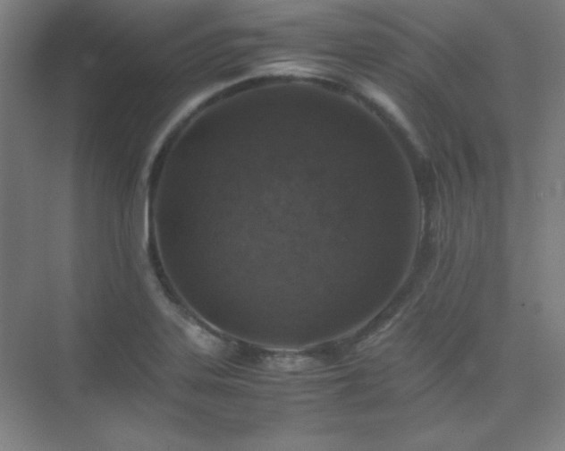 X0000075411323200609151837