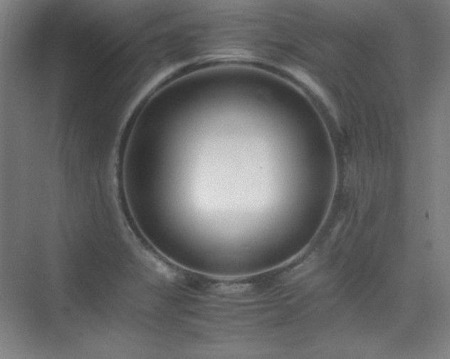 X0000075411325200609151837