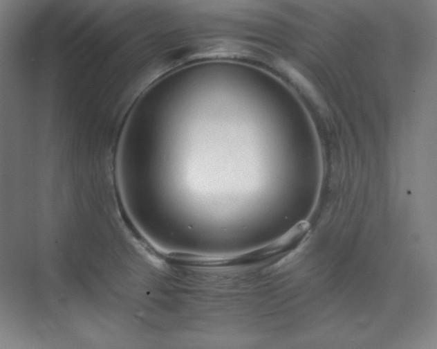 X0000075411329200609151837