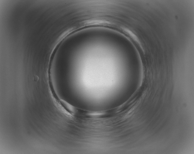 X0000075411330200609151837
