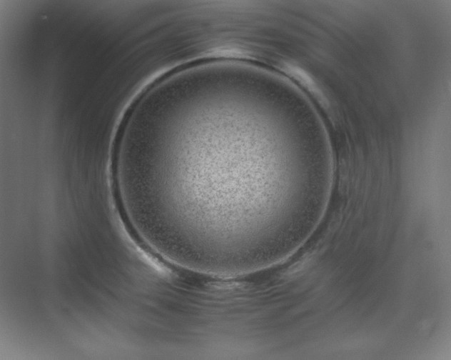 X0000075411331200609151837