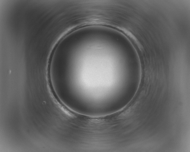X0000075411333200609151837
