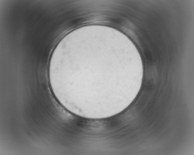 X0000075411338200609151837