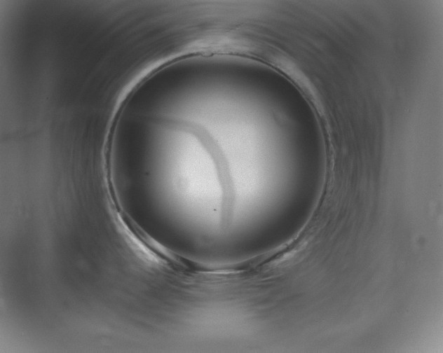 X0000075411344200609151837