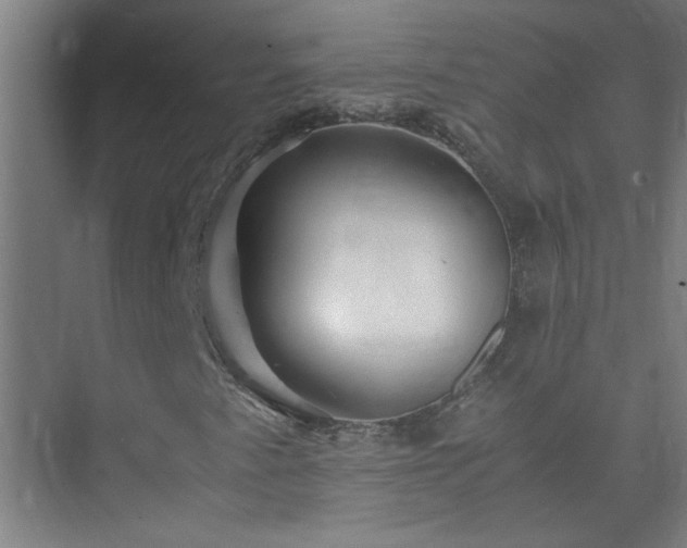 X0000075411345200609151836