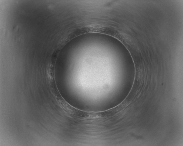 X0000075411346200609151836